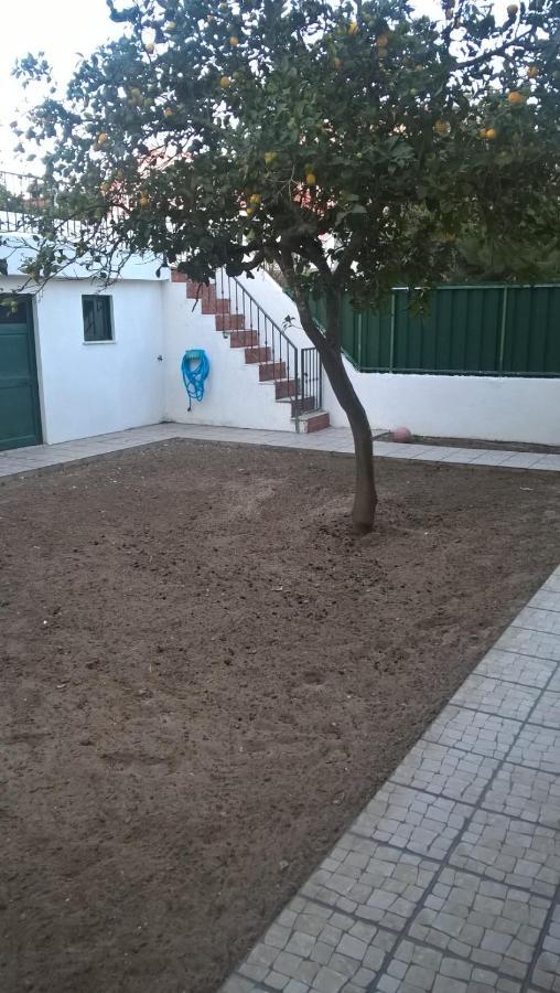 Bed and Breakfast Casa Do Limoeiro Quinta do Conde Zewnętrze zdjęcie